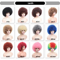 Afro Kinky Curly Synthetic Wig for Black Women - Free Delivery Worldwide only at Flexi Africa